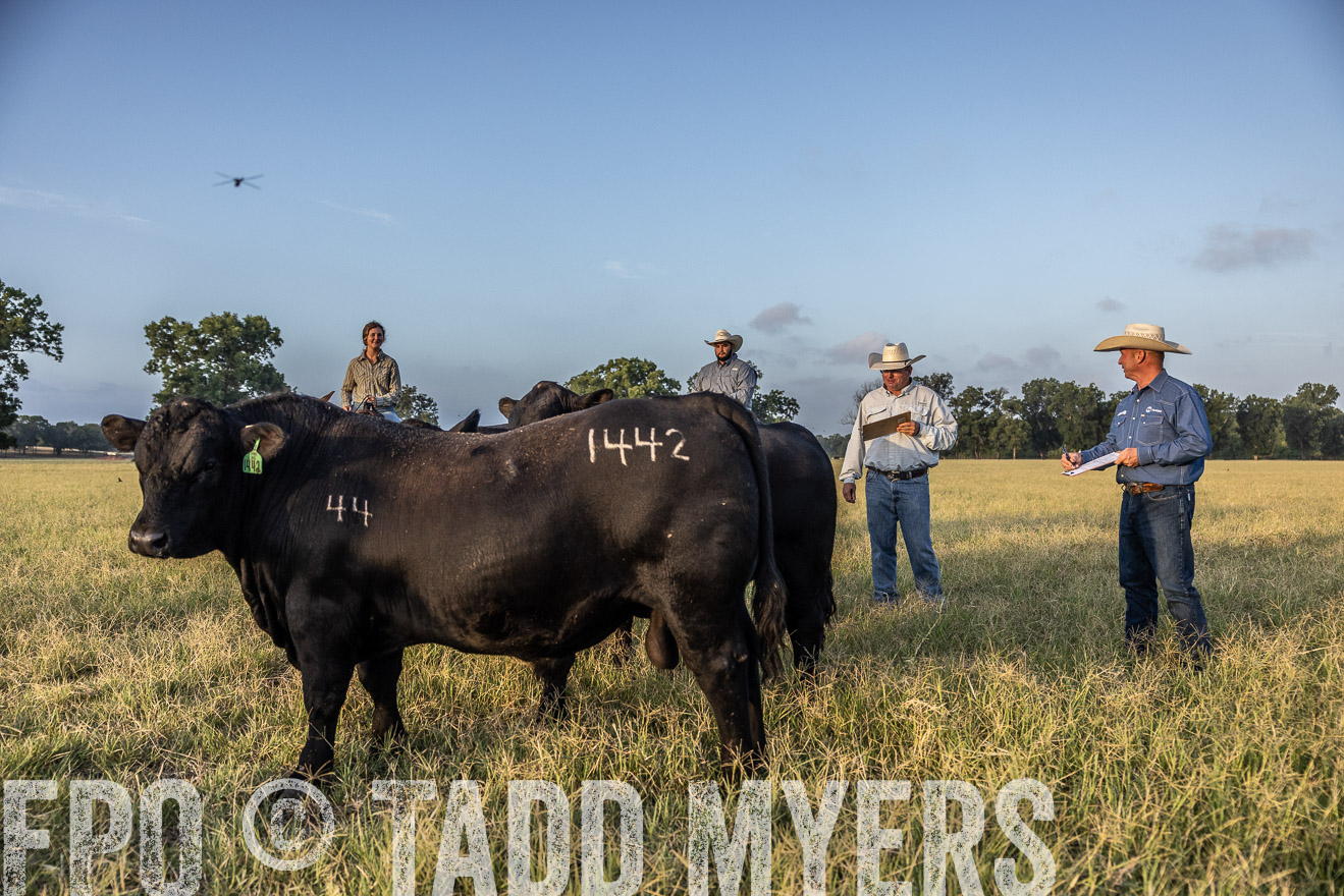 TMyers_44Farms_CameronTX_July2022--522429