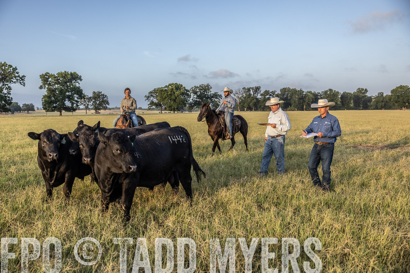TMyers_44Farms_CameronTX_July2022--522436