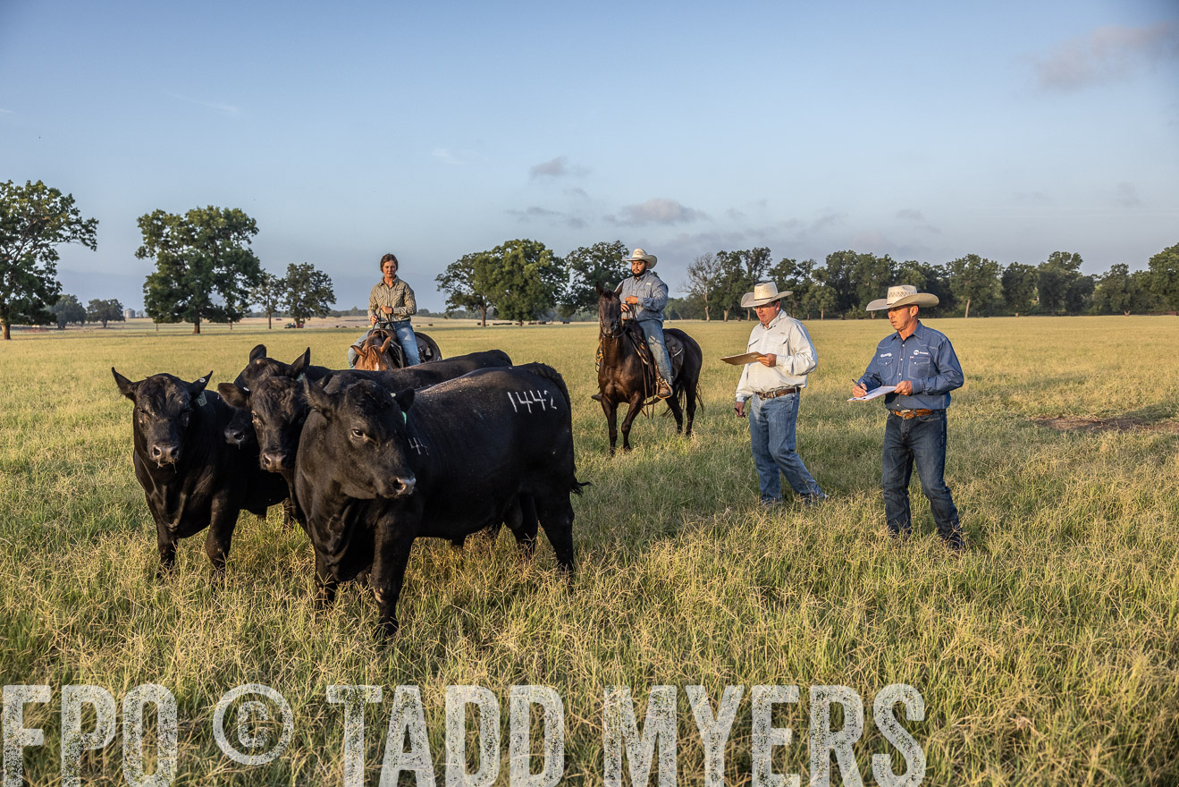 TMyers_44Farms_CameronTX_July2022--522438