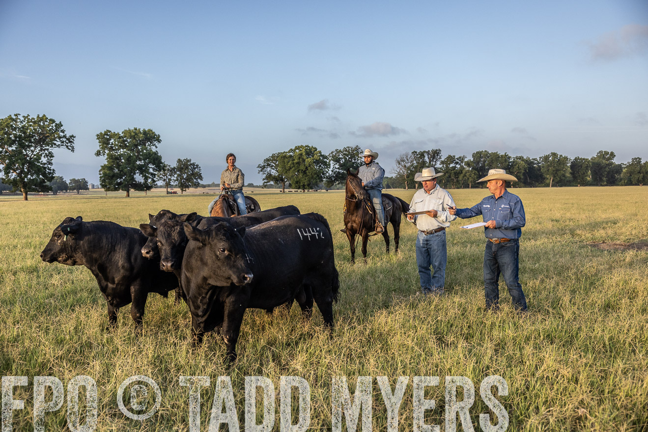 TMyers_44Farms_CameronTX_July2022--522443