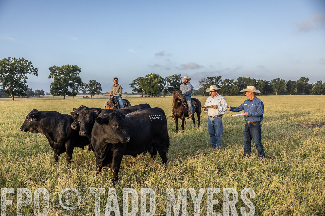 TMyers_44Farms_CameronTX_July2022--522445