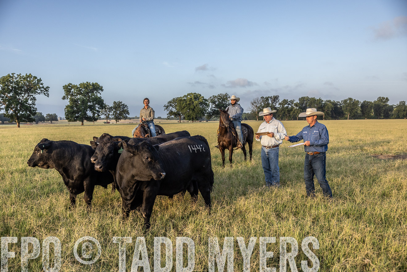 TMyers_44Farms_CameronTX_July2022--522447
