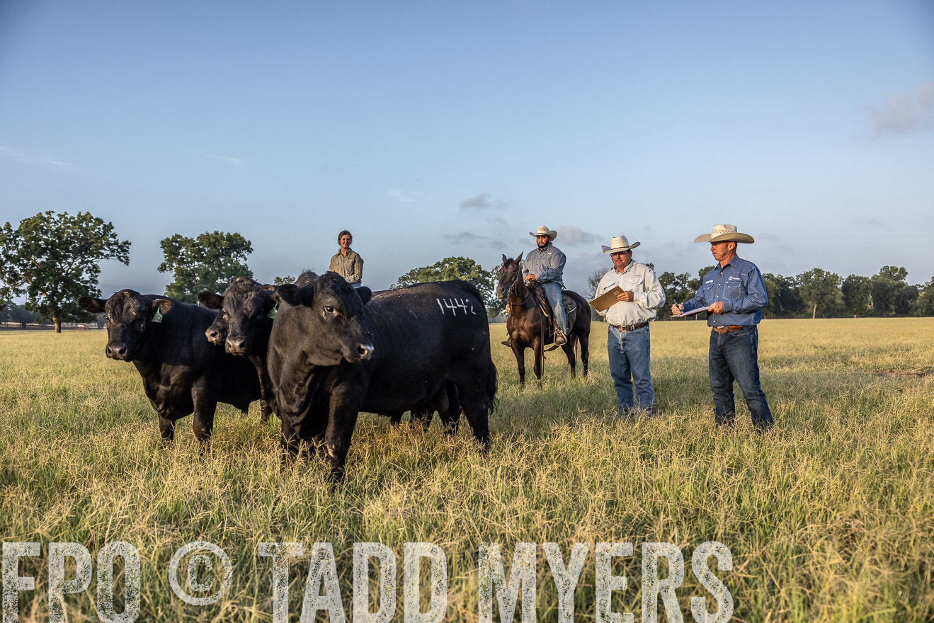 TMyers_44Farms_CameronTX_July2022--522451