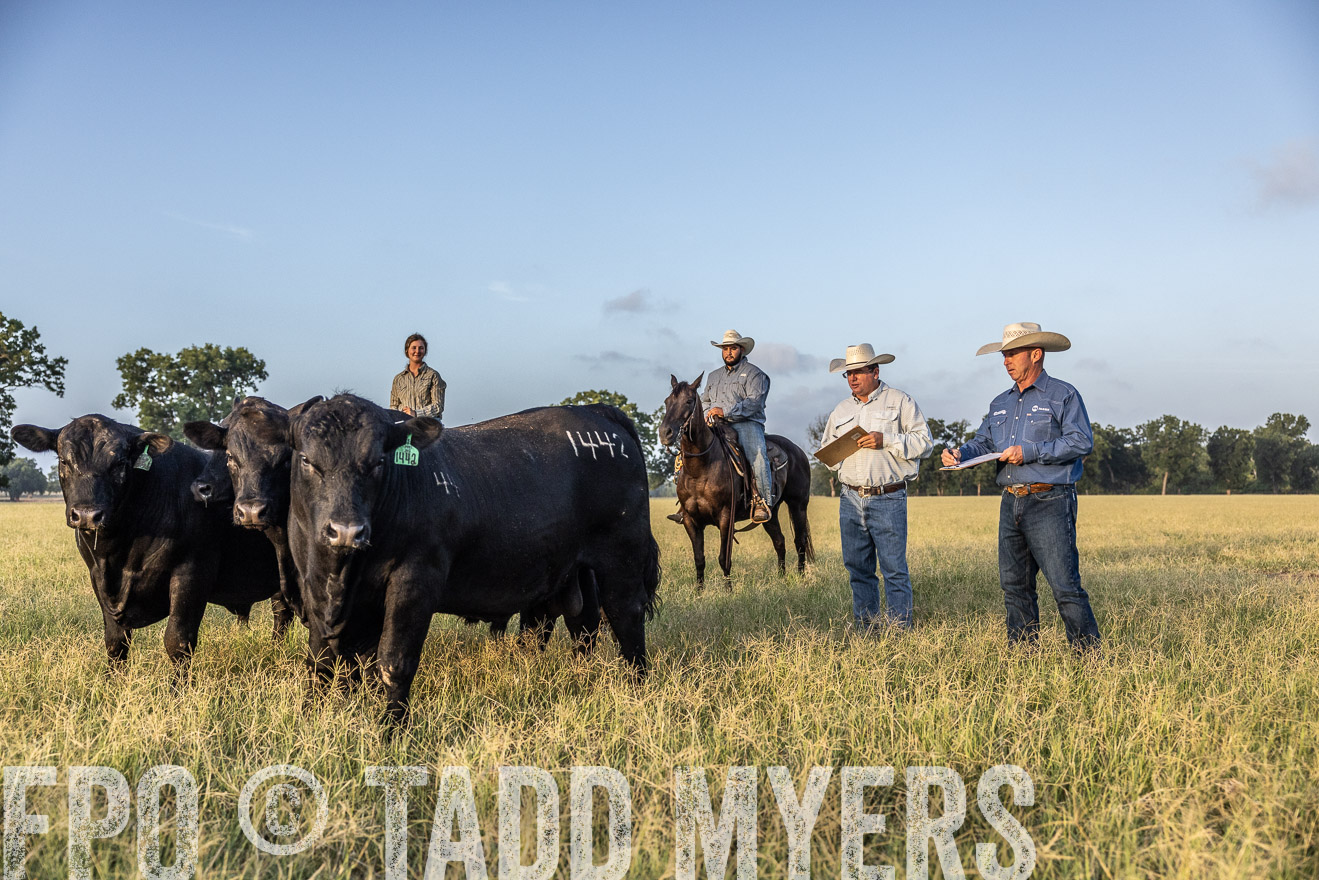 TMyers_44Farms_CameronTX_July2022--522452
