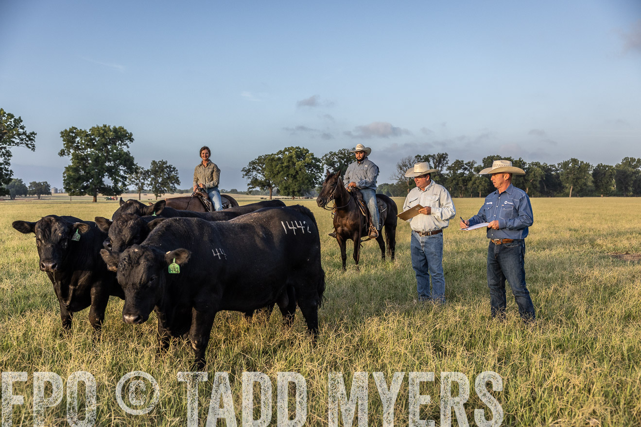 TMyers_44Farms_CameronTX_July2022--522454
