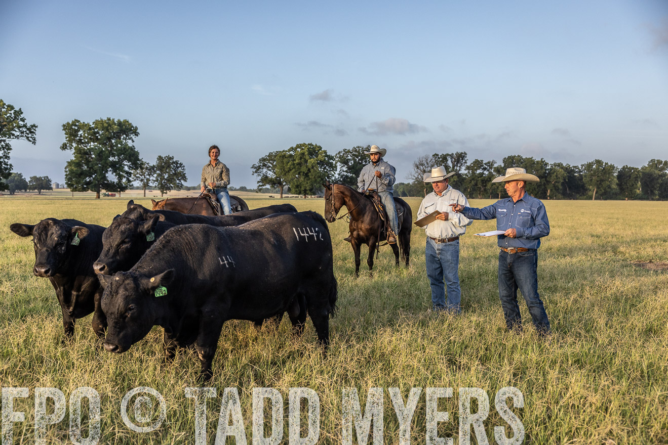TMyers_44Farms_CameronTX_July2022--522457