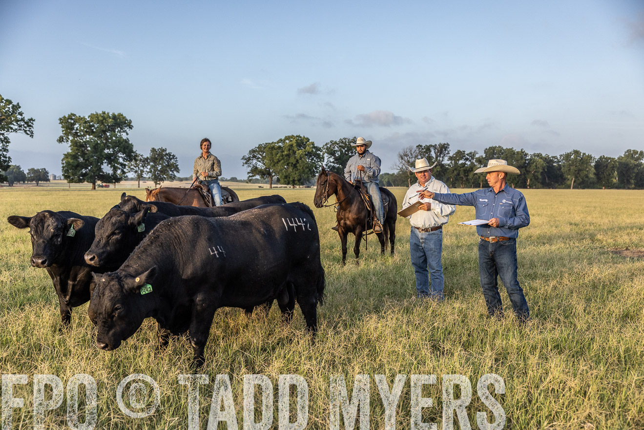 TMyers_44Farms_CameronTX_July2022--522458
