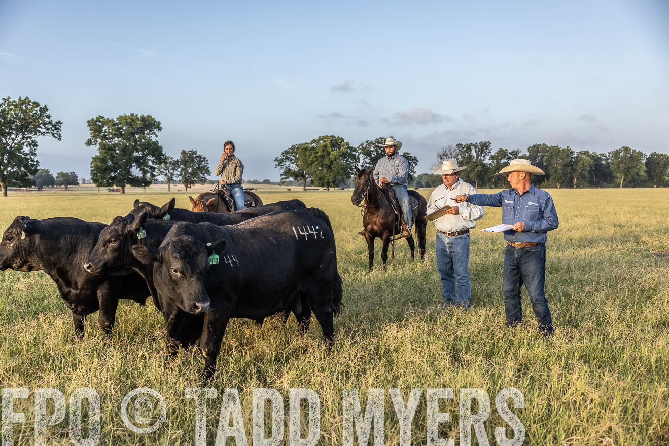 TMyers_44Farms_CameronTX_July2022--522461