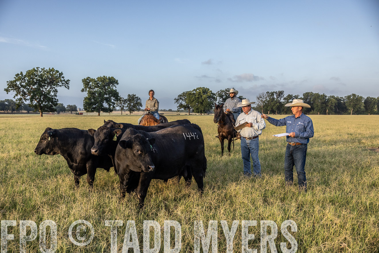 TMyers_44Farms_CameronTX_July2022--522464