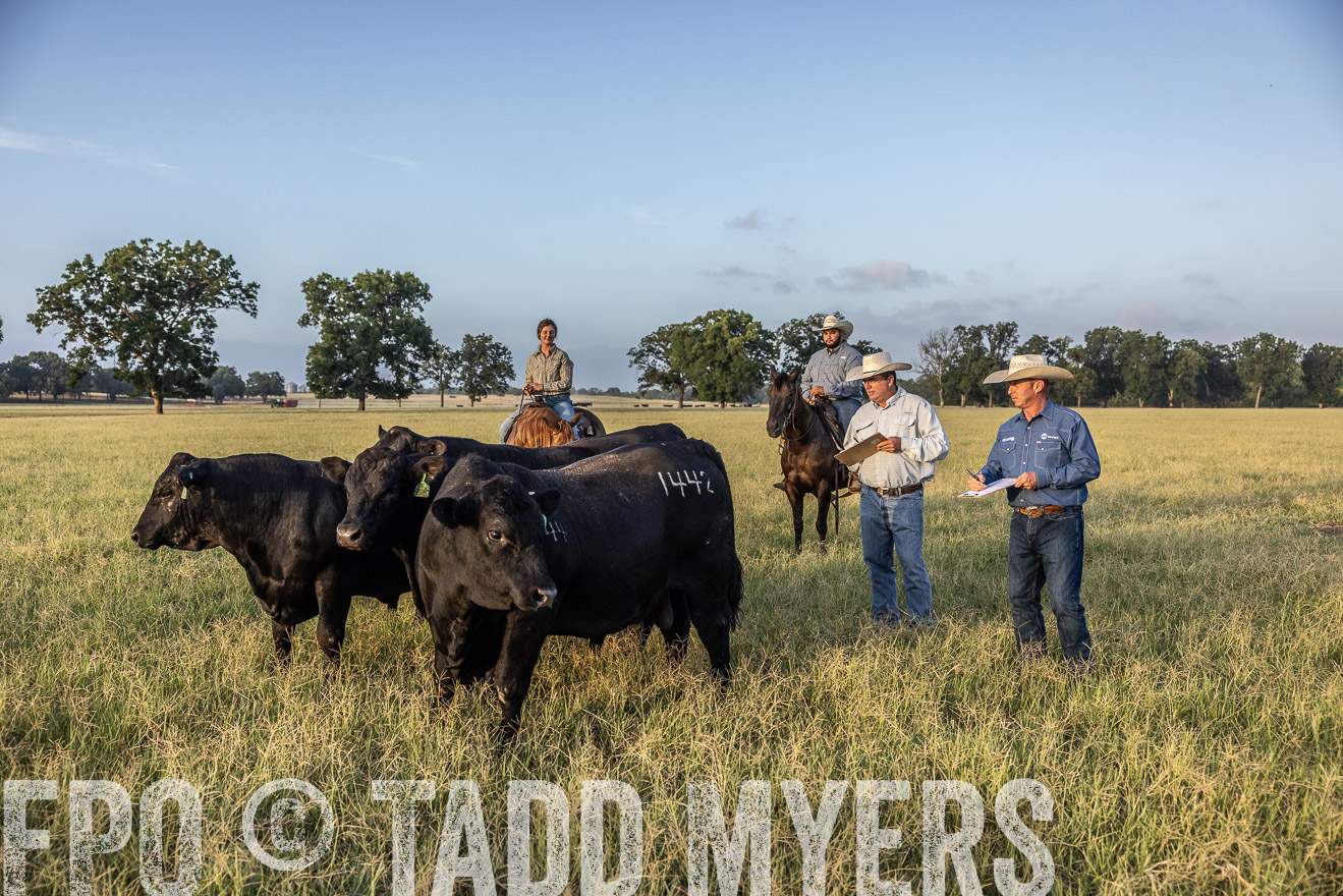 TMyers_44Farms_CameronTX_July2022--522465
