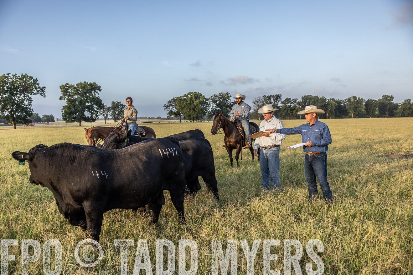 TMyers_44Farms_CameronTX_July2022--522472