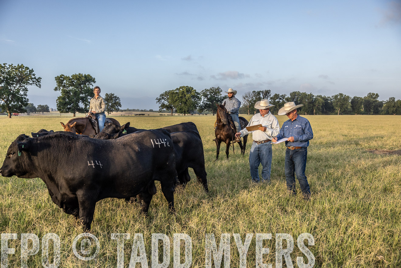 TMyers_44Farms_CameronTX_July2022--522480