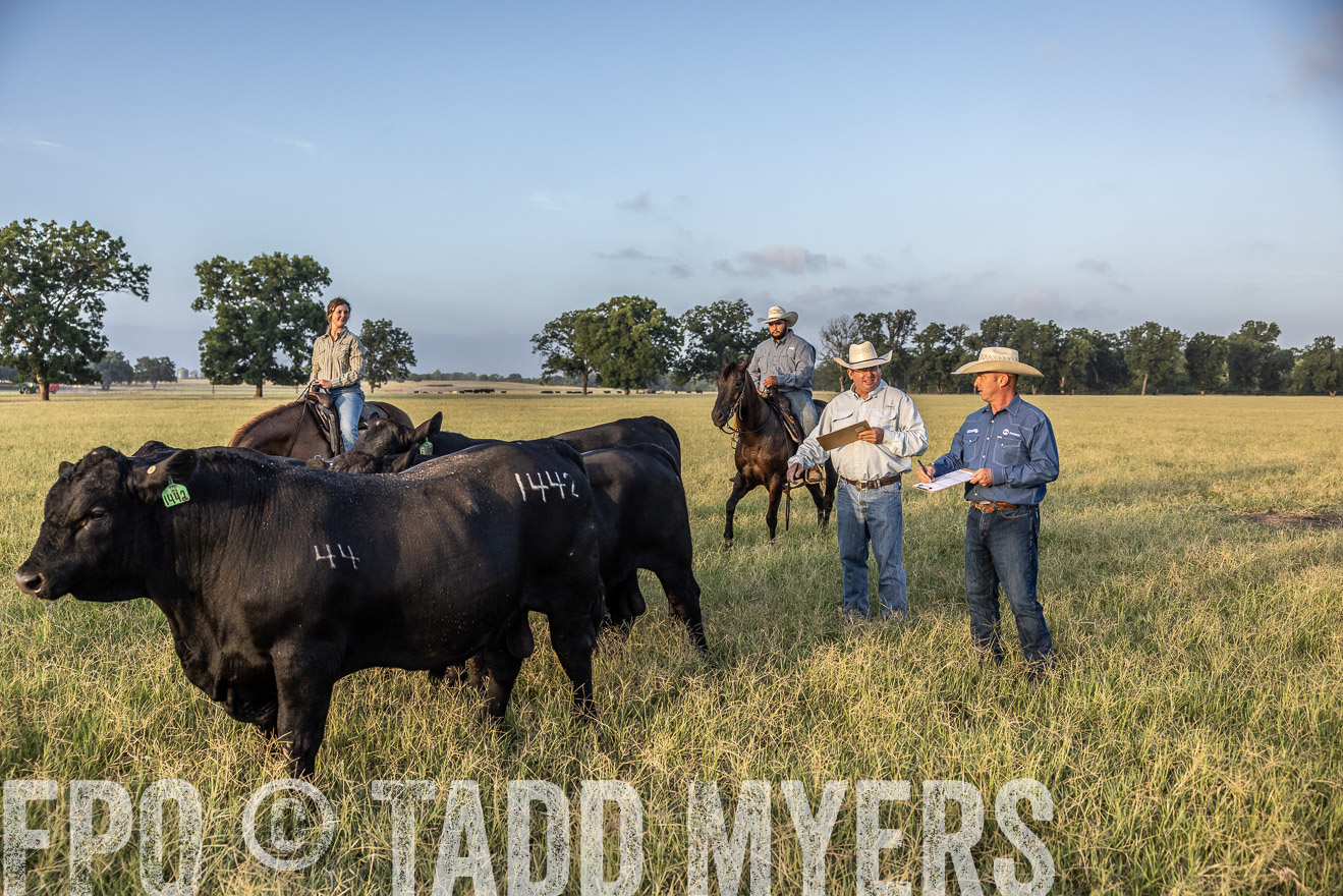 TMyers_44Farms_CameronTX_July2022--522483