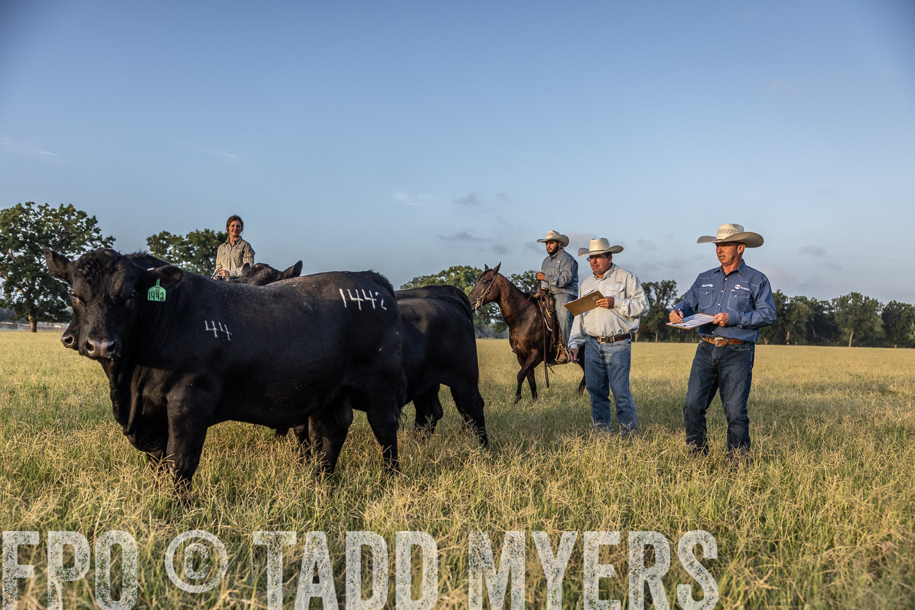 TMyers_44Farms_CameronTX_July2022--522489