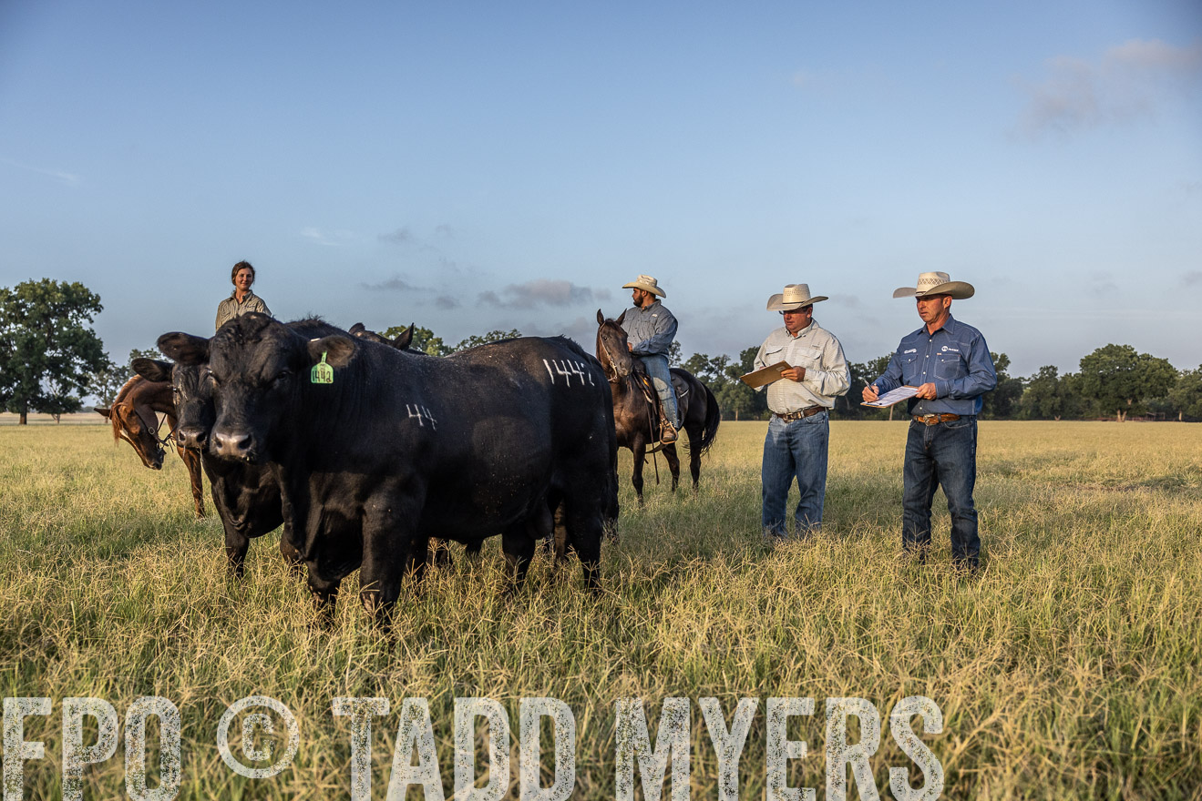 TMyers_44Farms_CameronTX_July2022--522493