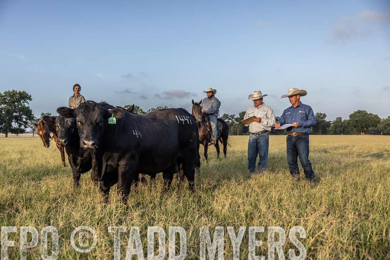 TMyers_44Farms_CameronTX_July2022--522496