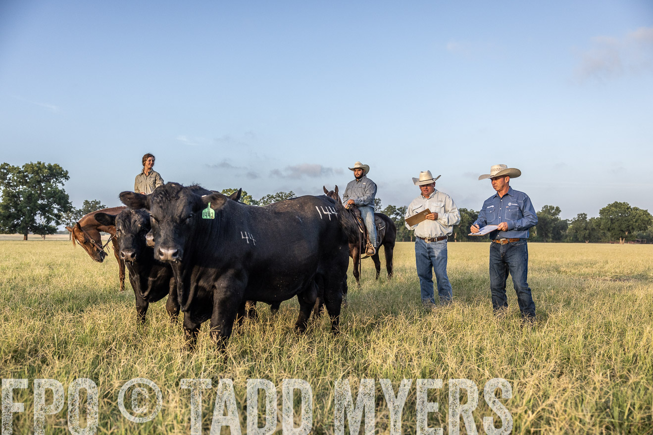 TMyers_44Farms_CameronTX_July2022--522505