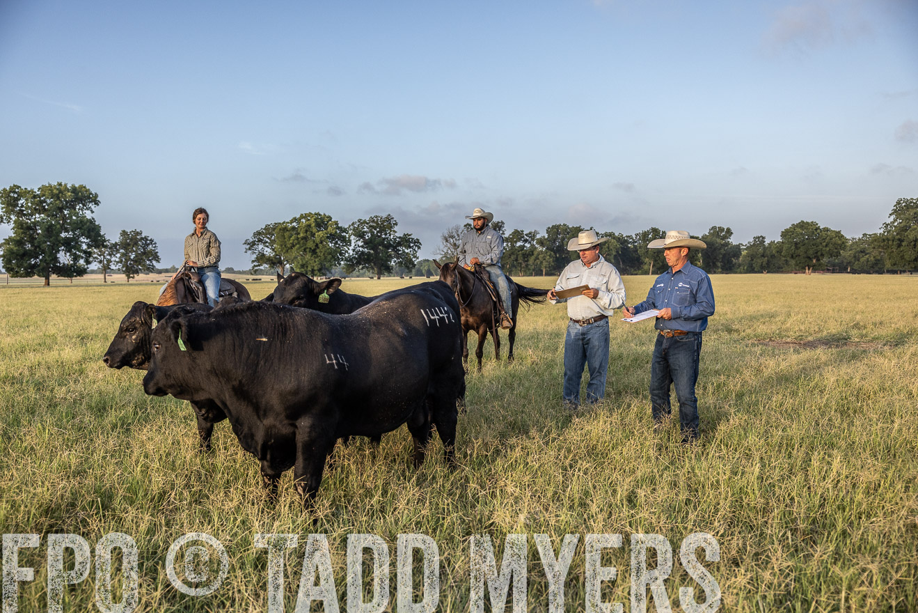 TMyers_44Farms_CameronTX_July2022--522518