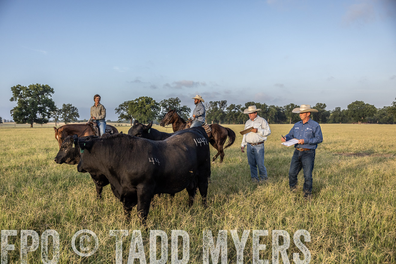 TMyers_44Farms_CameronTX_July2022--522525