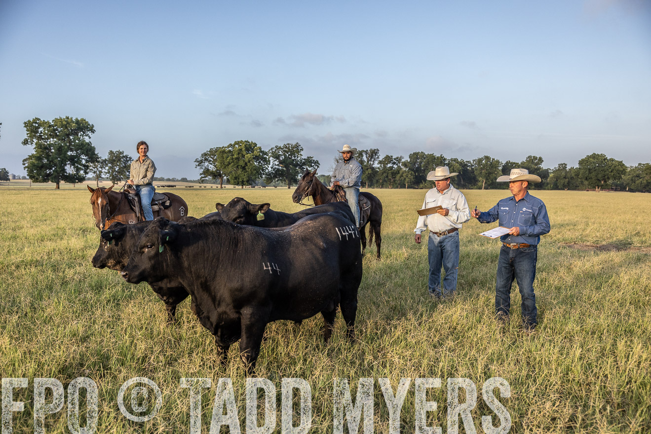 TMyers_44Farms_CameronTX_July2022--522529