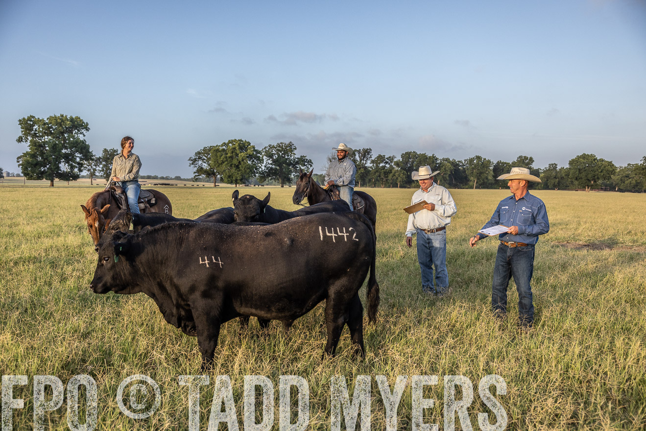 TMyers_44Farms_CameronTX_July2022--522534