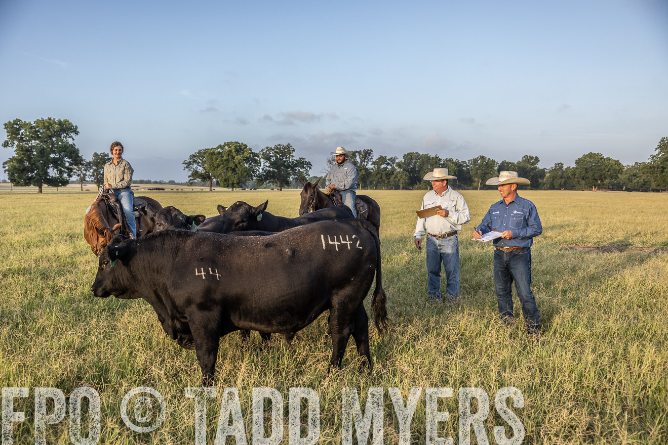TMyers_44Farms_CameronTX_July2022--522539