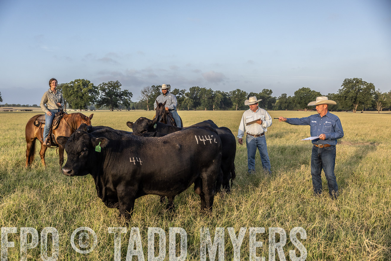 TMyers_44Farms_CameronTX_July2022--522542