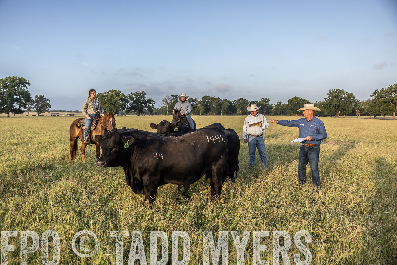 TMyers_44Farms_CameronTX_July2022--522546