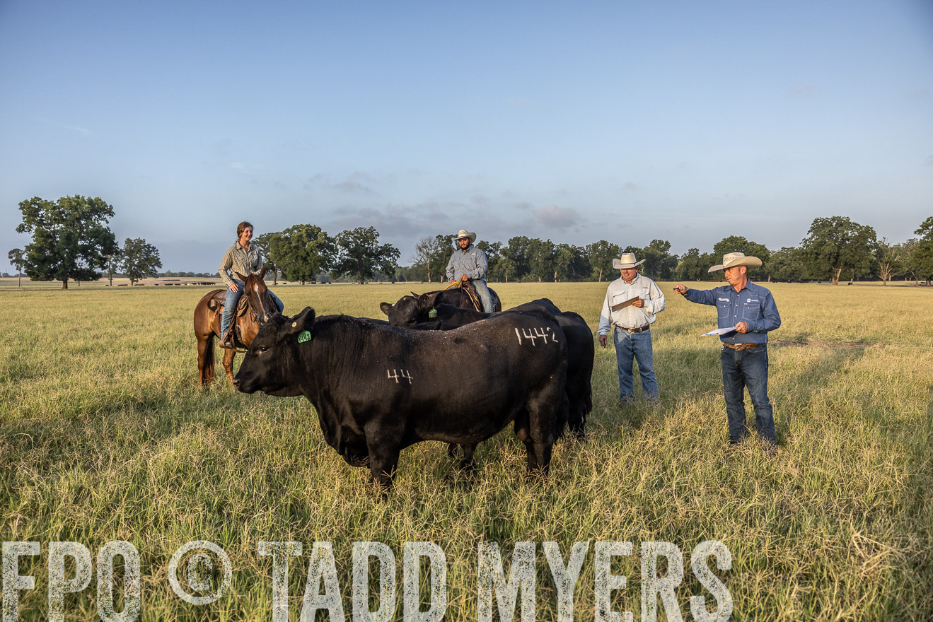 TMyers_44Farms_CameronTX_July2022--522550