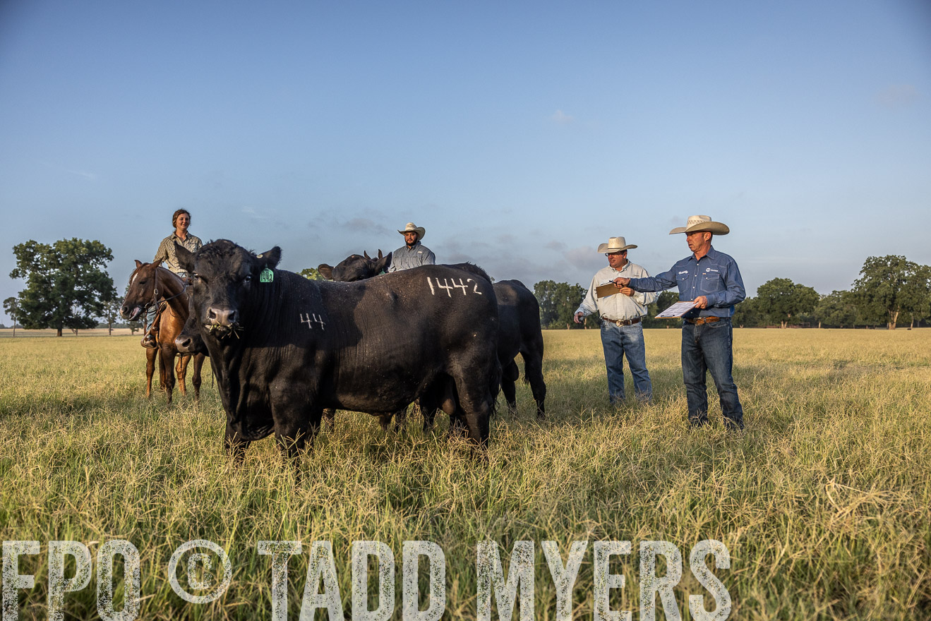TMyers_44Farms_CameronTX_July2022--522557