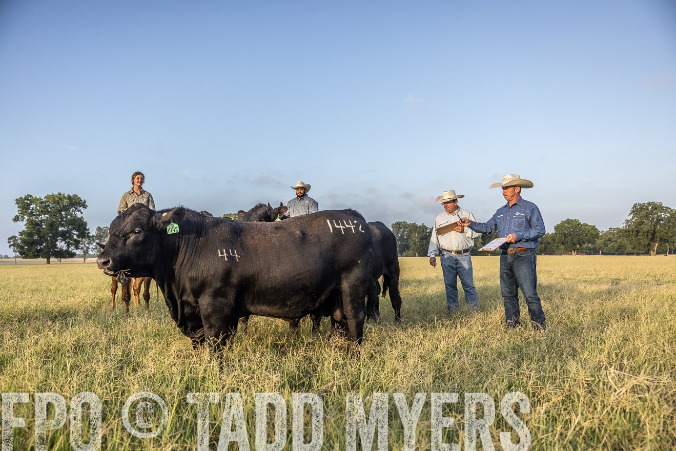 TMyers_44Farms_CameronTX_July2022--522562