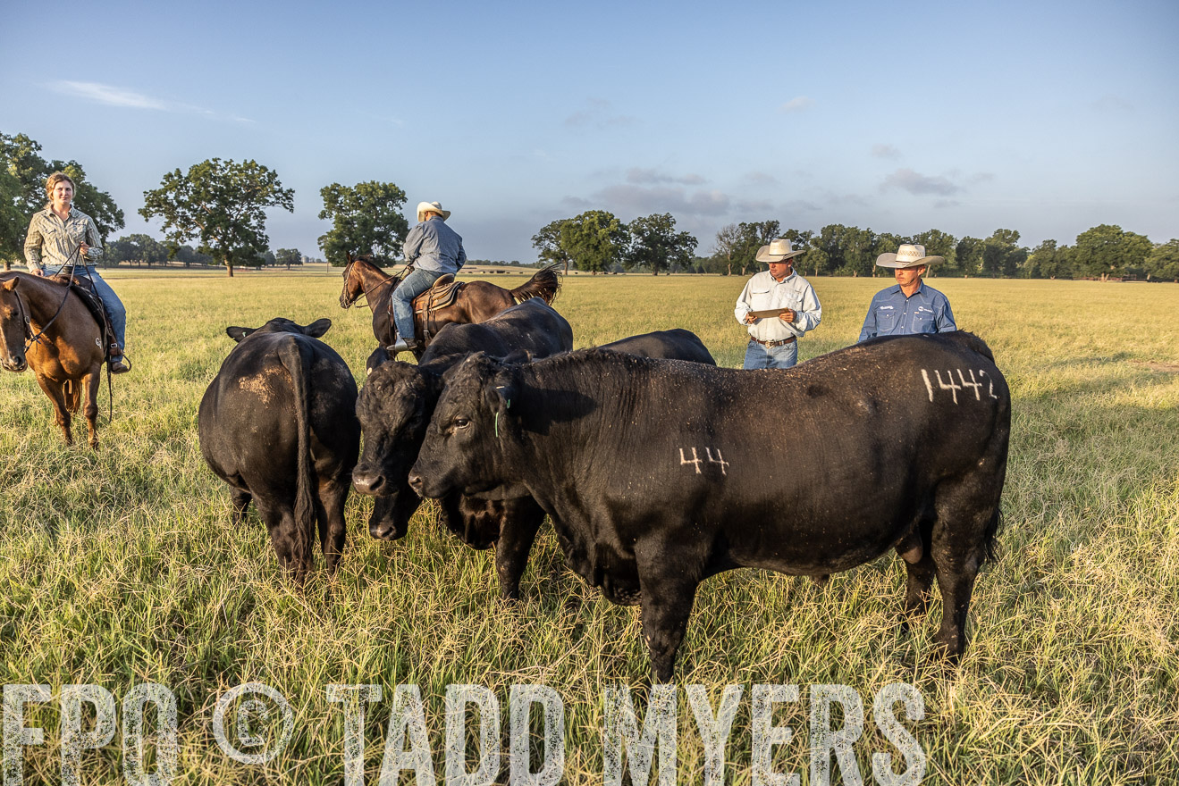 TMyers_44Farms_CameronTX_July2022--522584