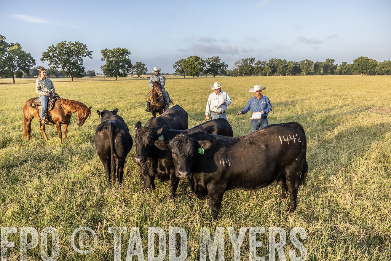 TMyers_44Farms_CameronTX_July2022--522597