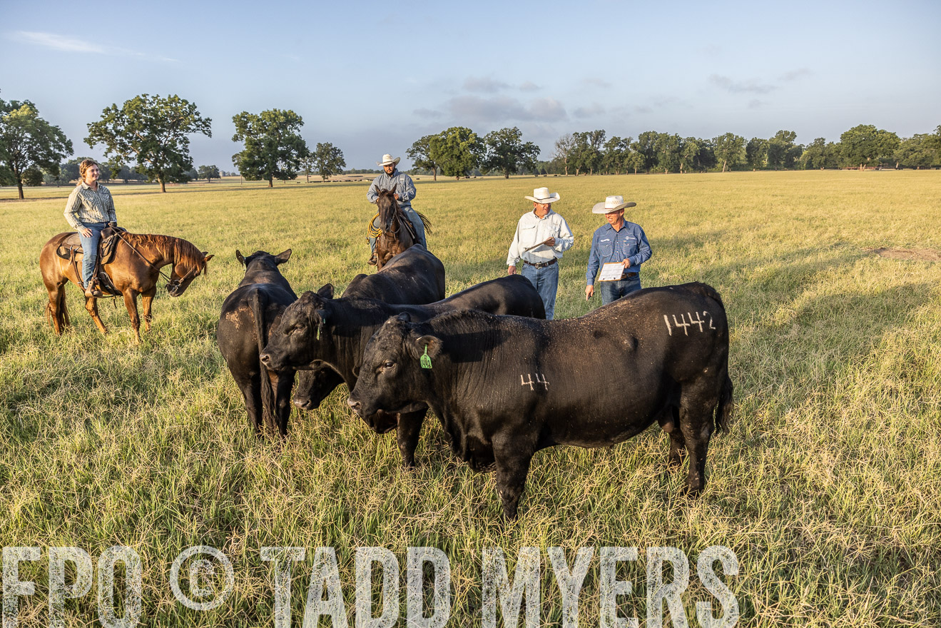 TMyers_44Farms_CameronTX_July2022--522606