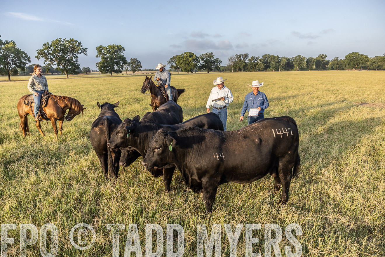 TMyers_44Farms_CameronTX_July2022--522609