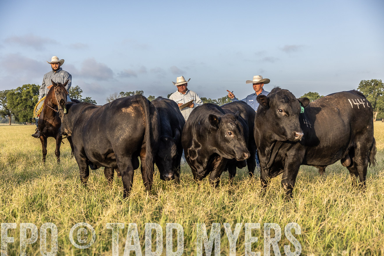 TMyers_44Farms_CameronTX_July2022--522615