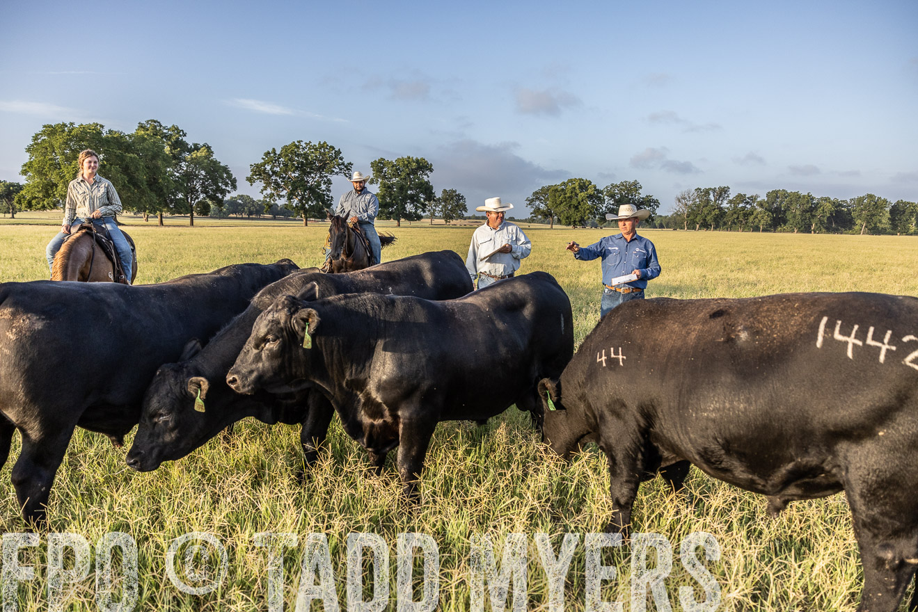 TMyers_44Farms_CameronTX_July2022--522677