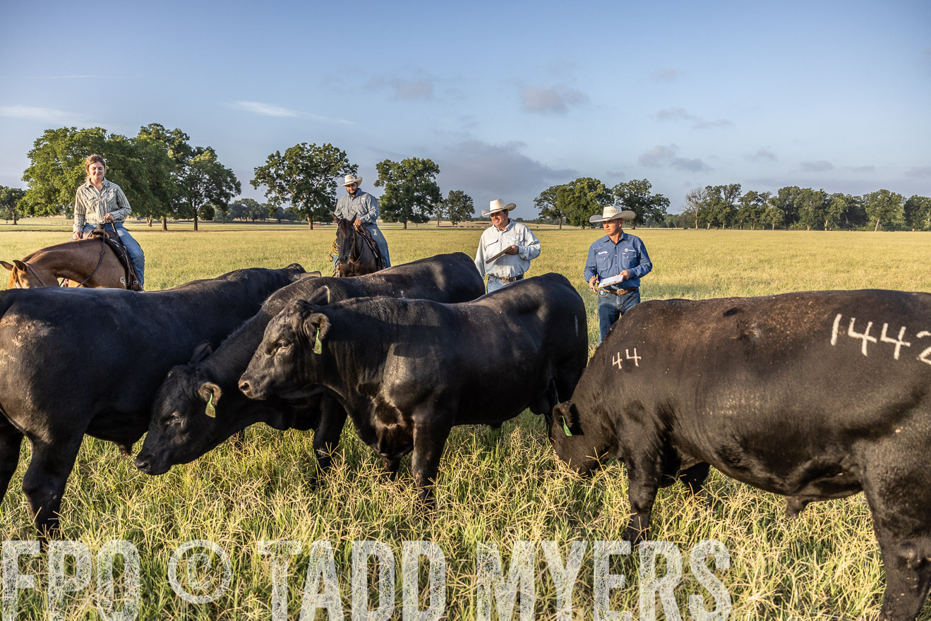 TMyers_44Farms_CameronTX_July2022--522680