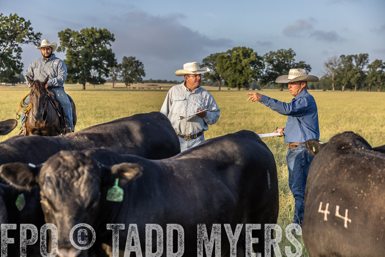TMyers_44Farms_CameronTX_July2022--522684