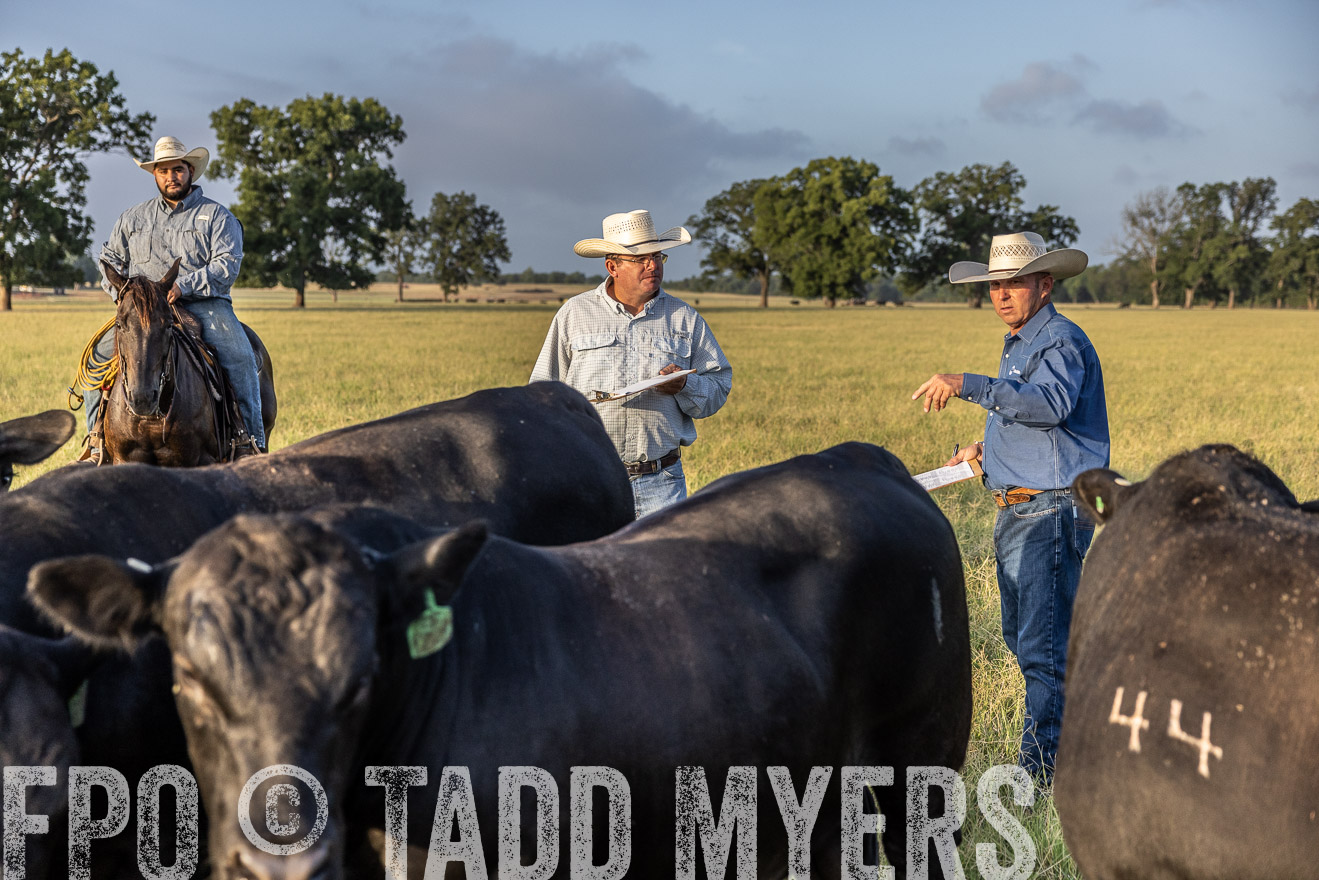 TMyers_44Farms_CameronTX_July2022--522685