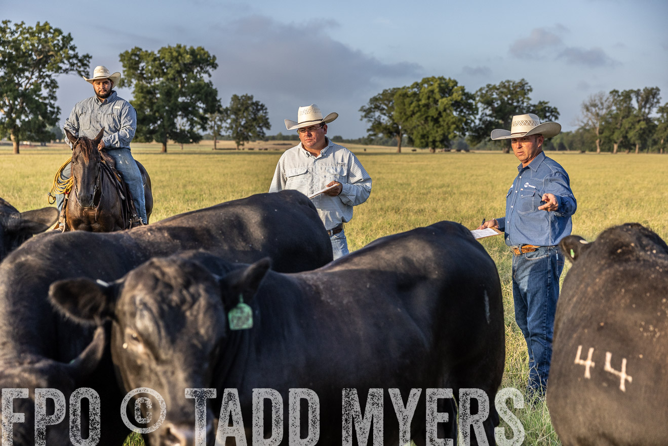 TMyers_44Farms_CameronTX_July2022--522687