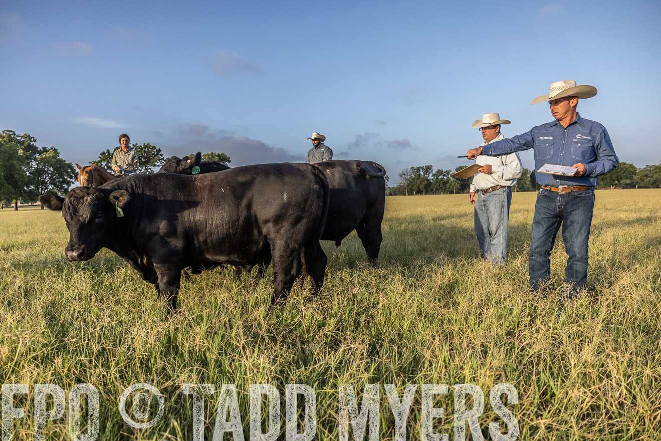TMyers_44Farms_CameronTX_July2022--522695