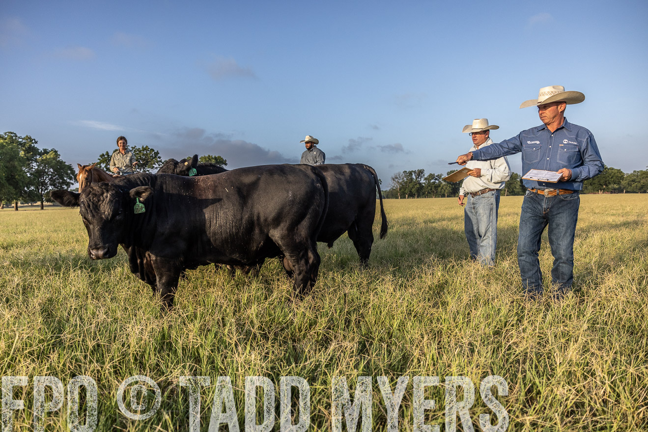 TMyers_44Farms_CameronTX_July2022--522696