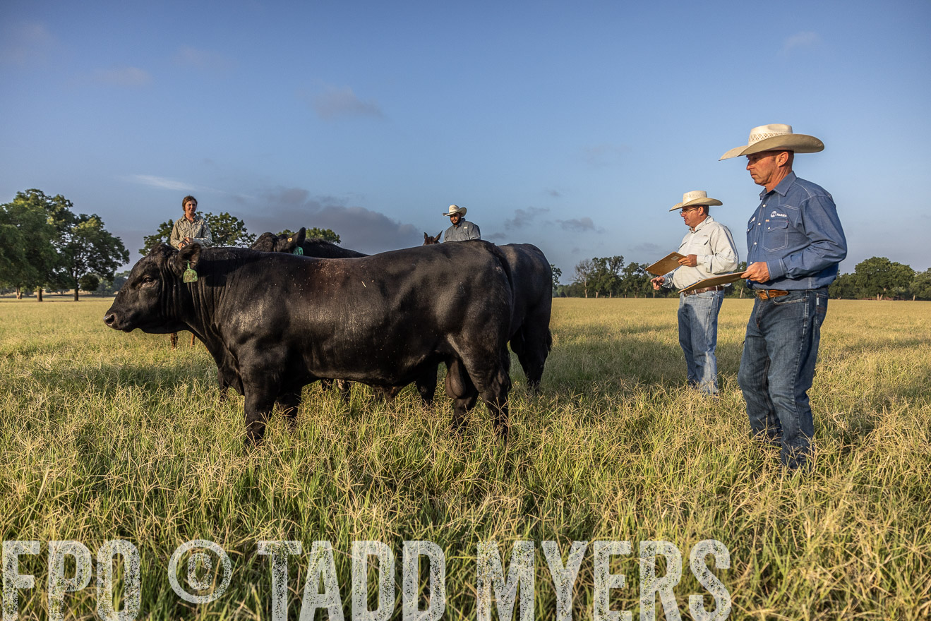 TMyers_44Farms_CameronTX_July2022--522701