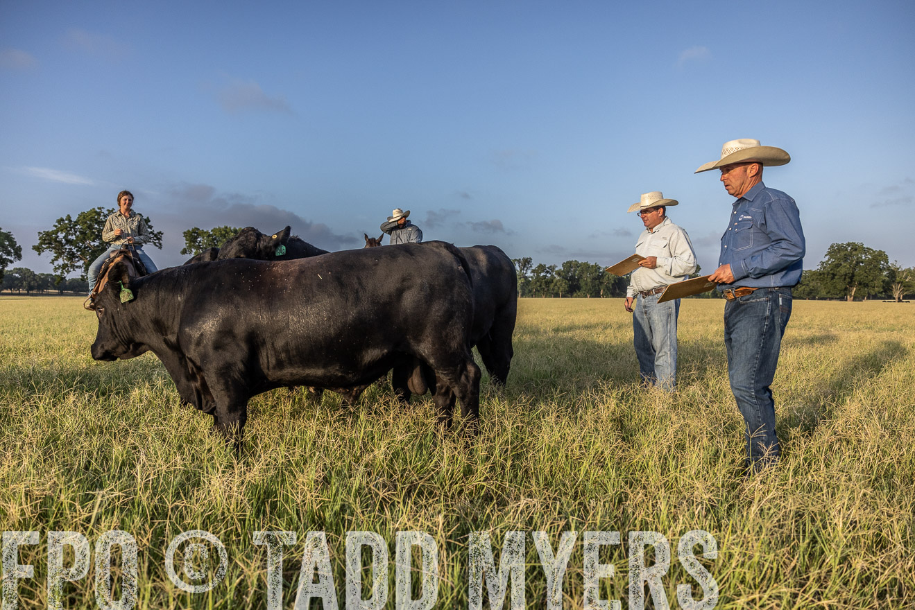 TMyers_44Farms_CameronTX_July2022--522702
