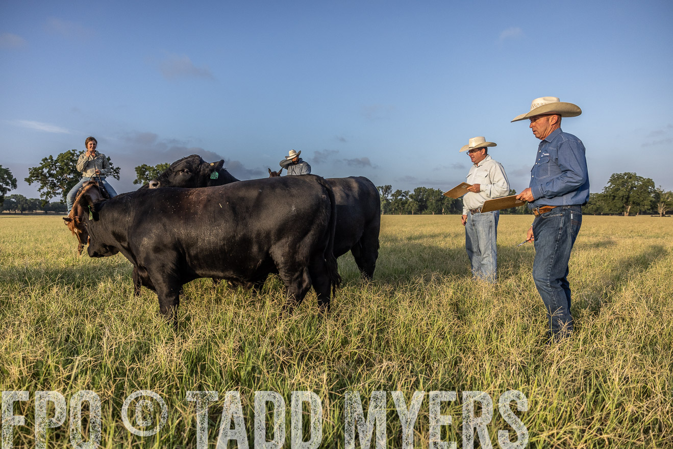 TMyers_44Farms_CameronTX_July2022--522703
