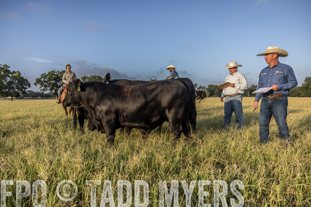 TMyers_44Farms_CameronTX_July2022--522708