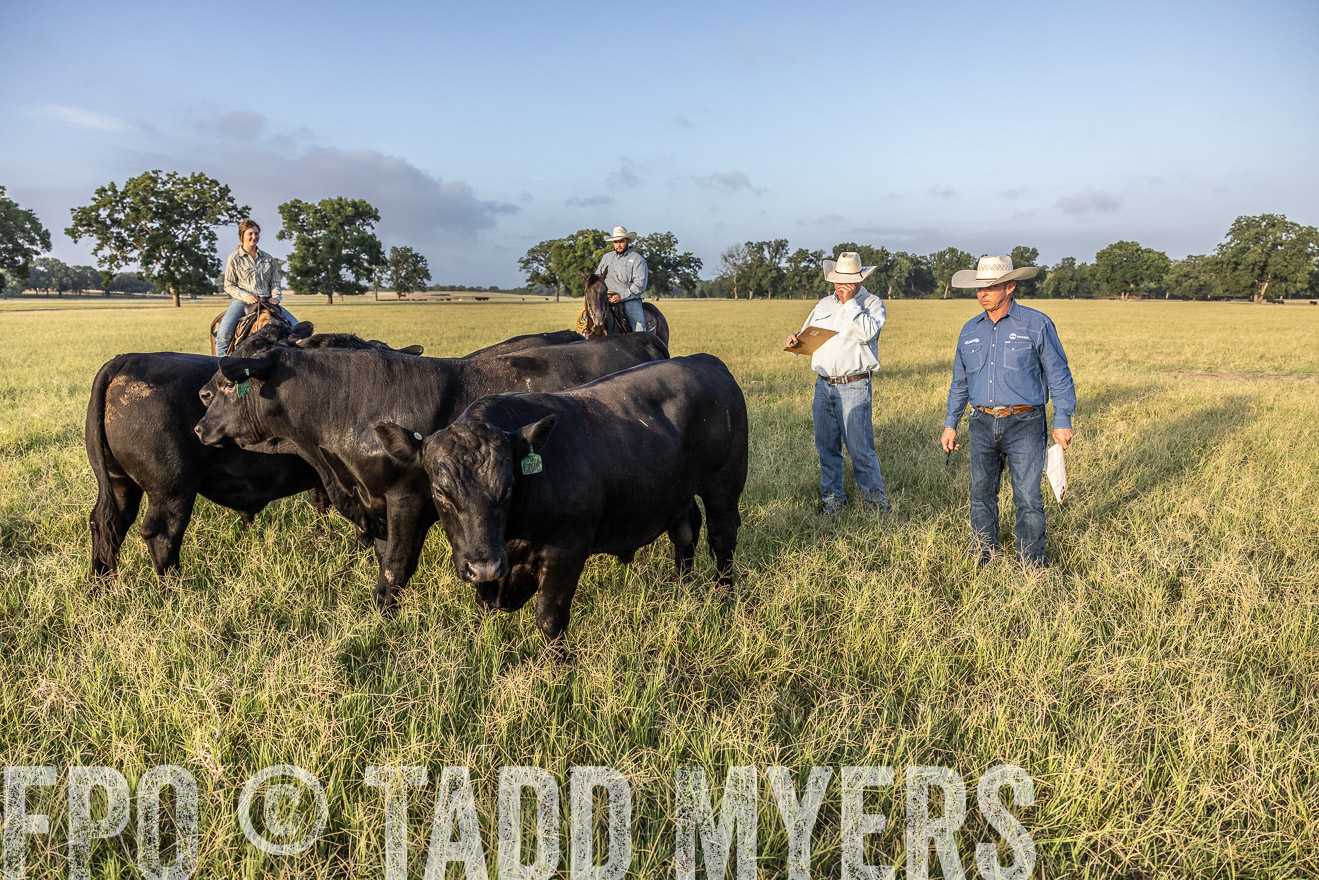 TMyers_44Farms_CameronTX_July2022--522713