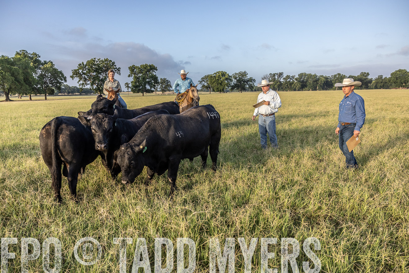 TMyers_44Farms_CameronTX_July2022--522718