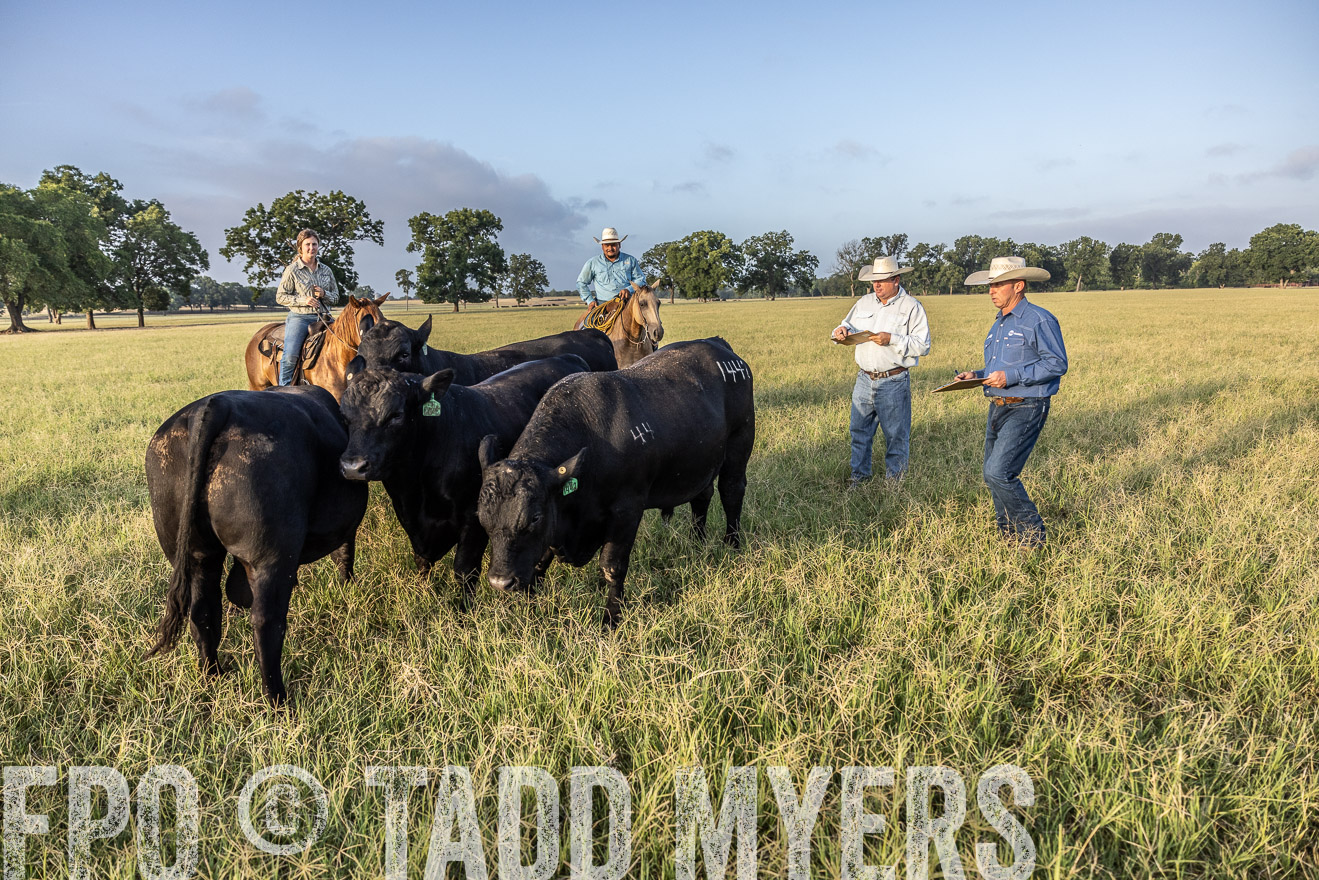 TMyers_44Farms_CameronTX_July2022--522722
